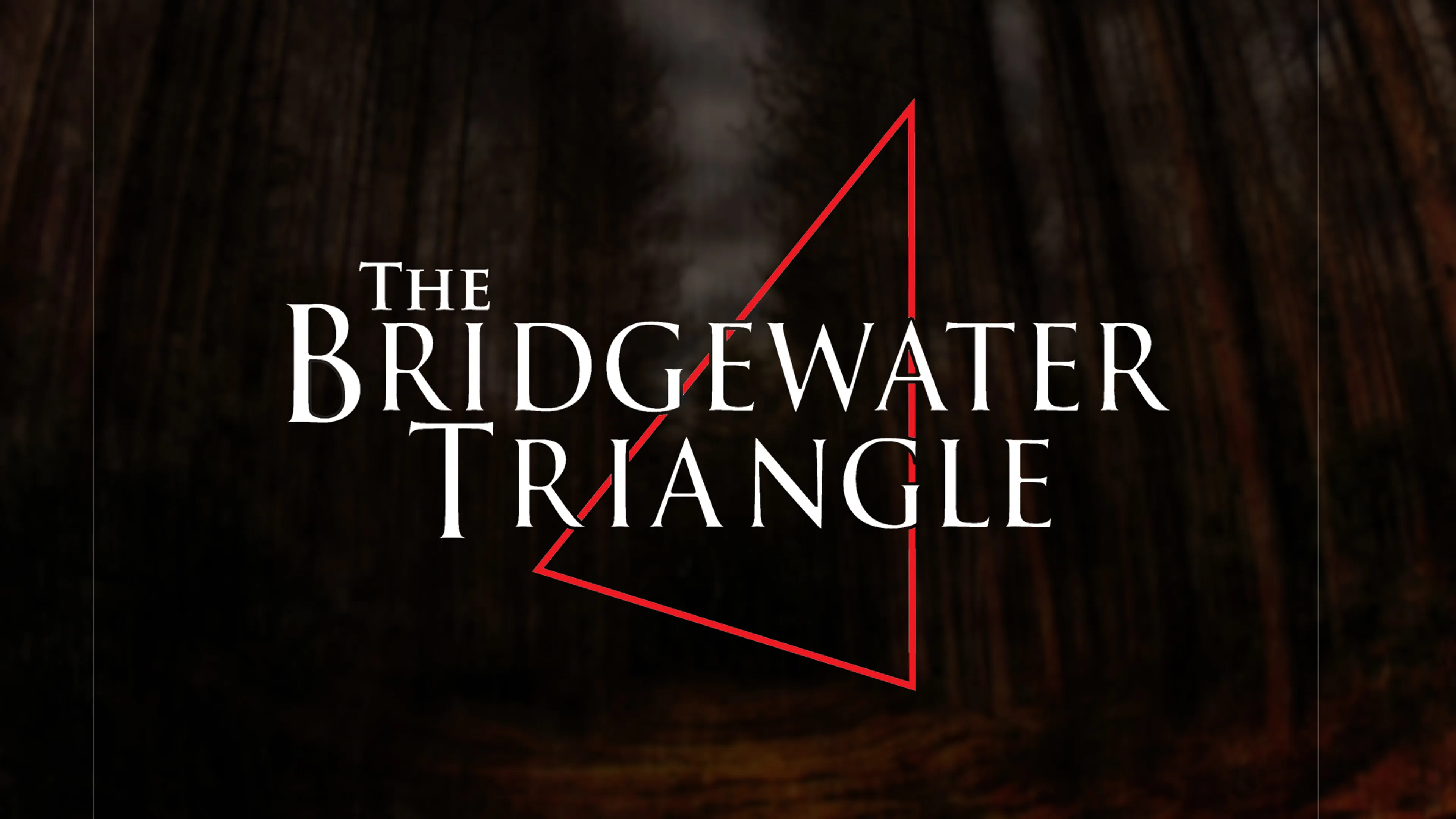 The Bridgewater Triangle poster